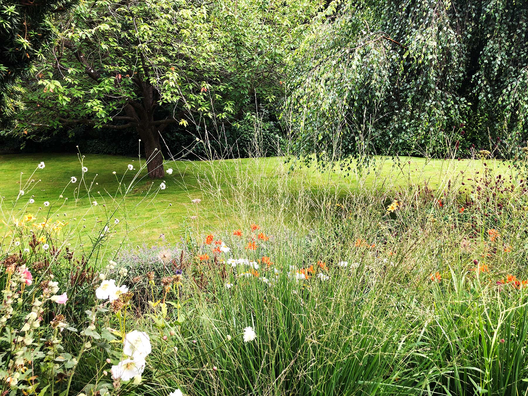 Wild flower borders and a generous lawn to play on were key features of this family garden design