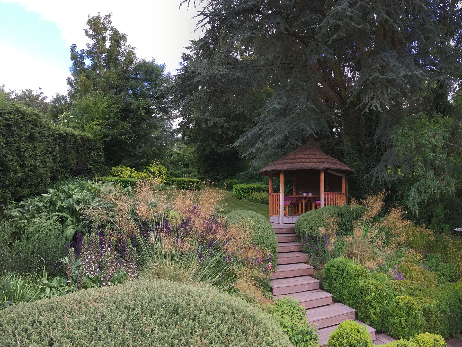 Overview of completed garden in Rickmansworth. Timber steps flanked by dense planting to a breeze hut situated in a formal lawn with box hedges.