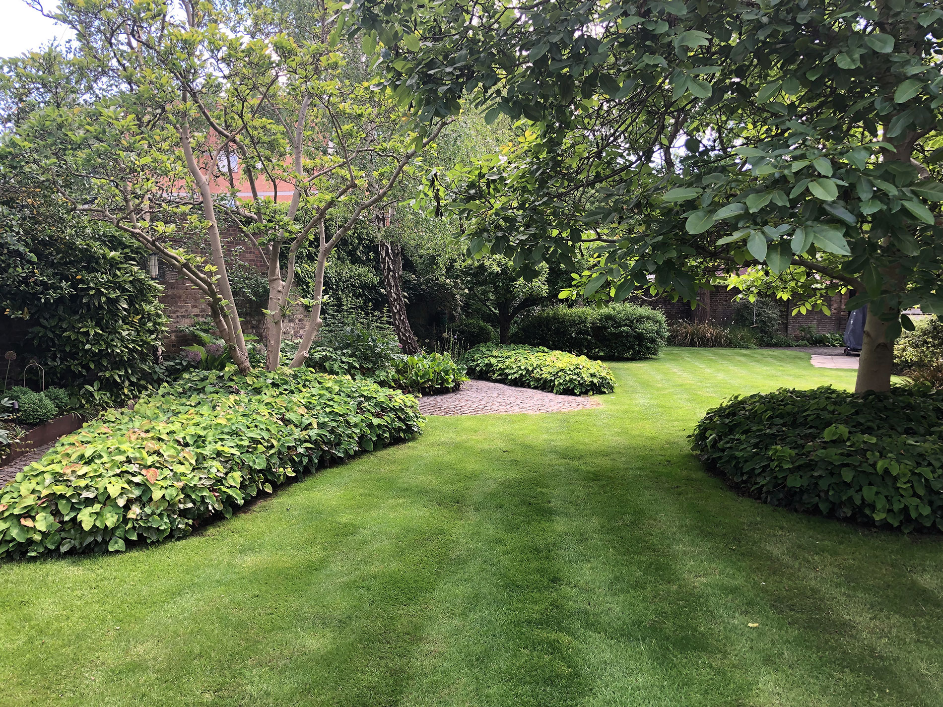 Shades of green in Ealing, a striped lawn softened with structured curves