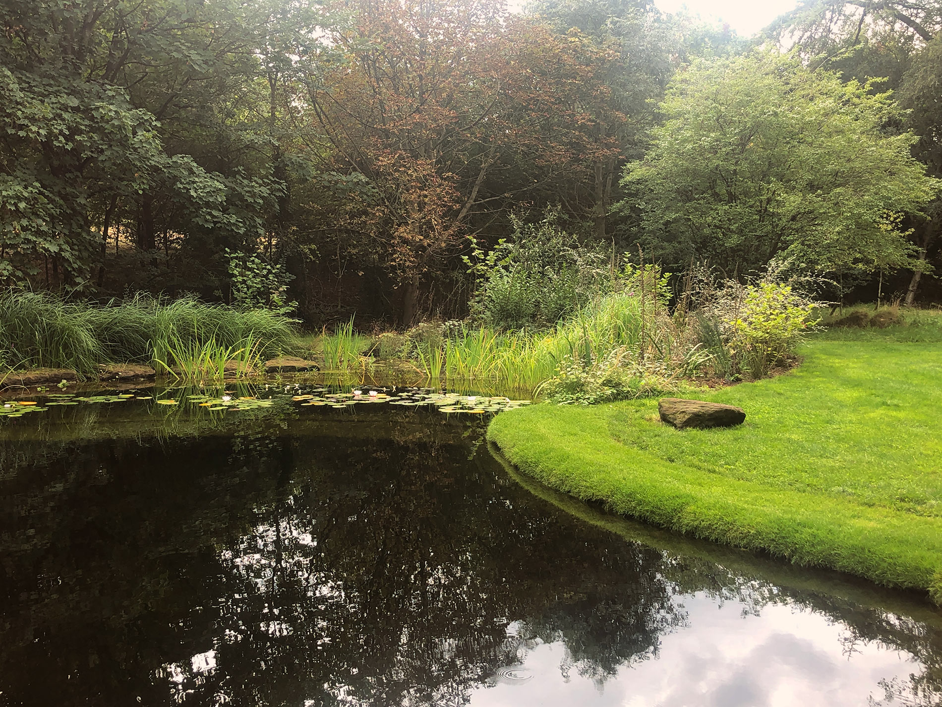 Autumn view across the swimming pond showing planting and tress
